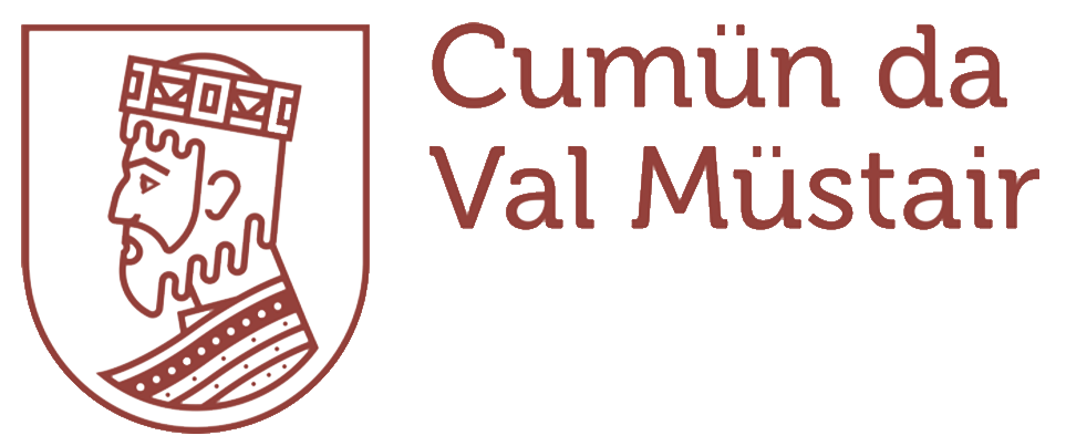 Logo CDVM 2